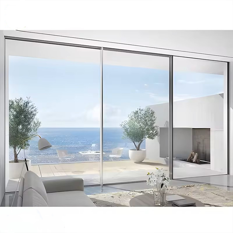 Slim Sliding Door